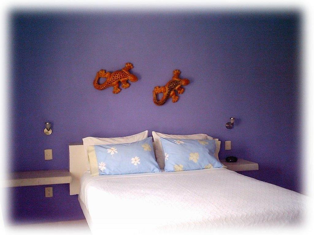 Coral Reef Inn Cozumel Room photo